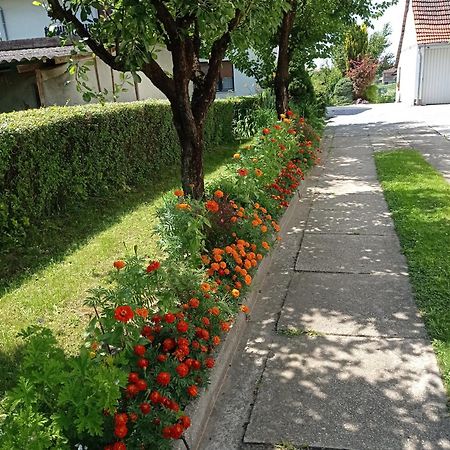 Apartman Skudar Bjelovar Zewnętrze zdjęcie
