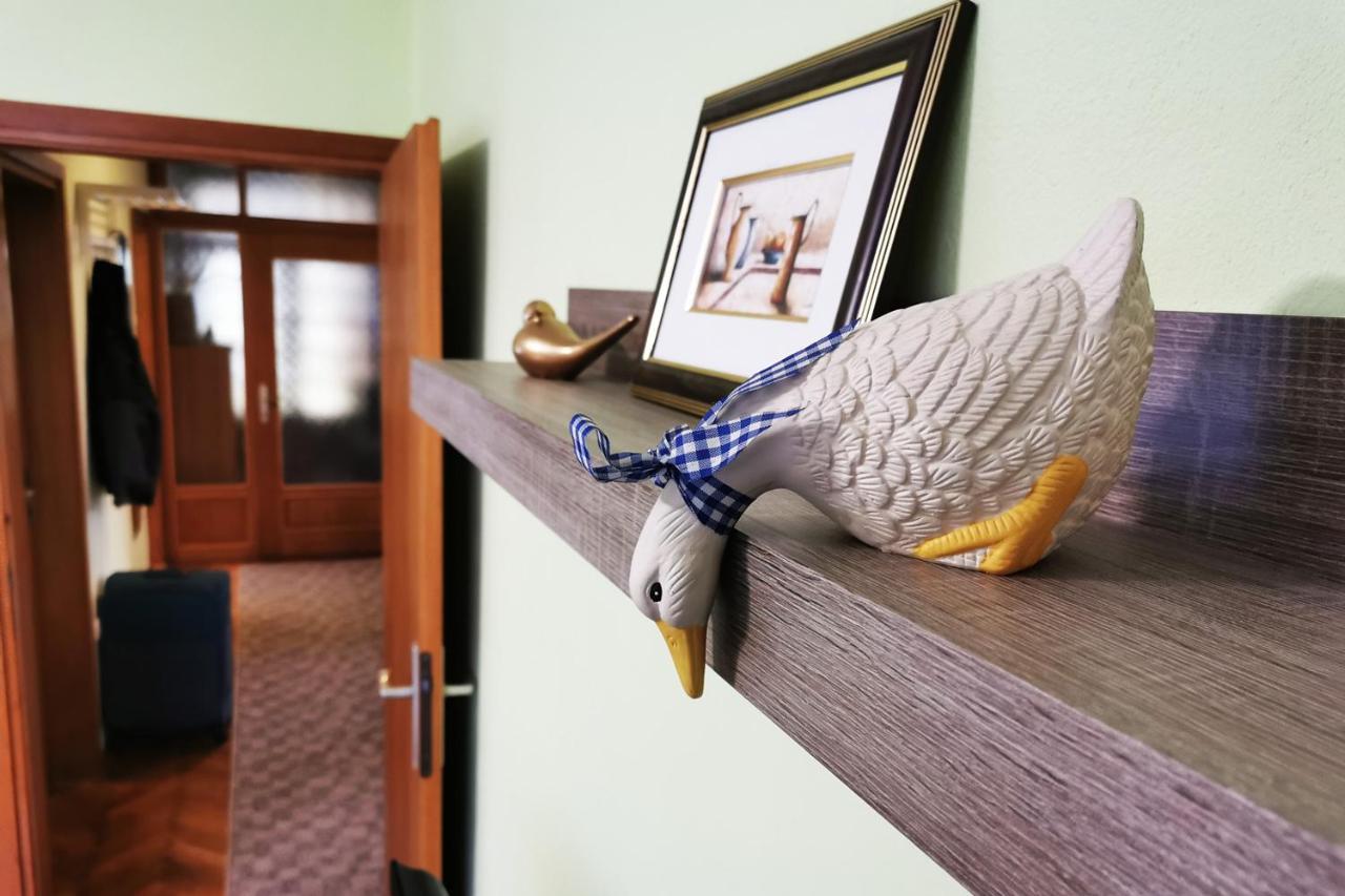 Apartman Skudar Bjelovar Zewnętrze zdjęcie